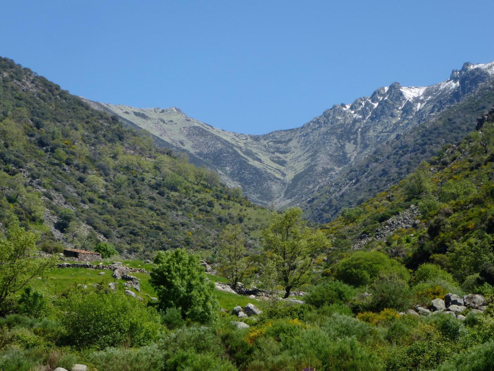 Apartamentos Rurales Entre Fuentes Cuacos De Yuste Esterno foto