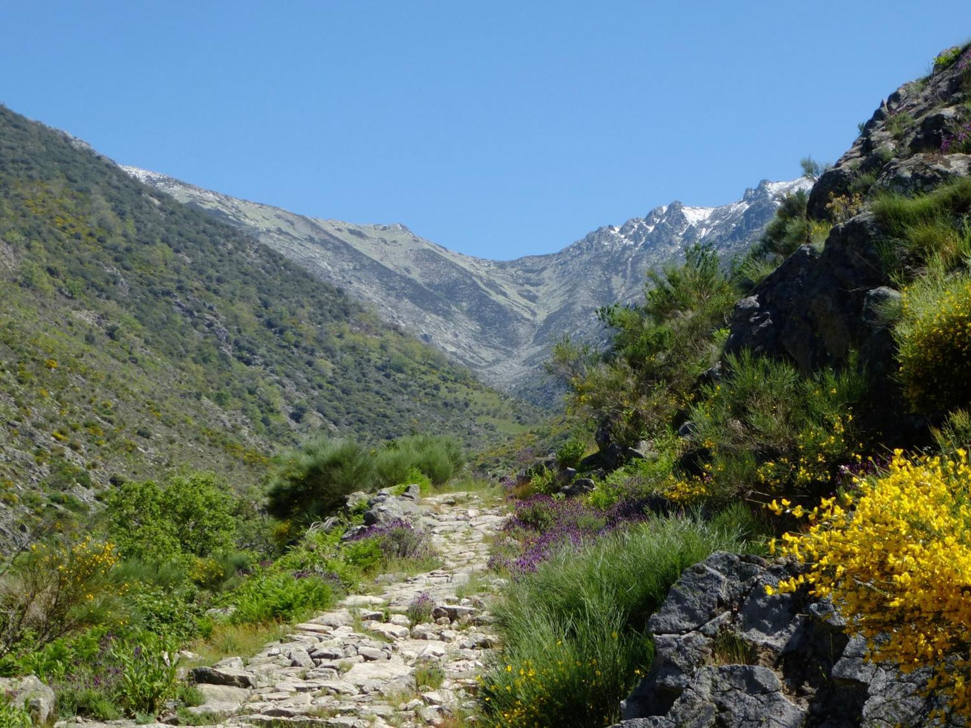 Apartamentos Rurales Entre Fuentes Cuacos De Yuste Esterno foto