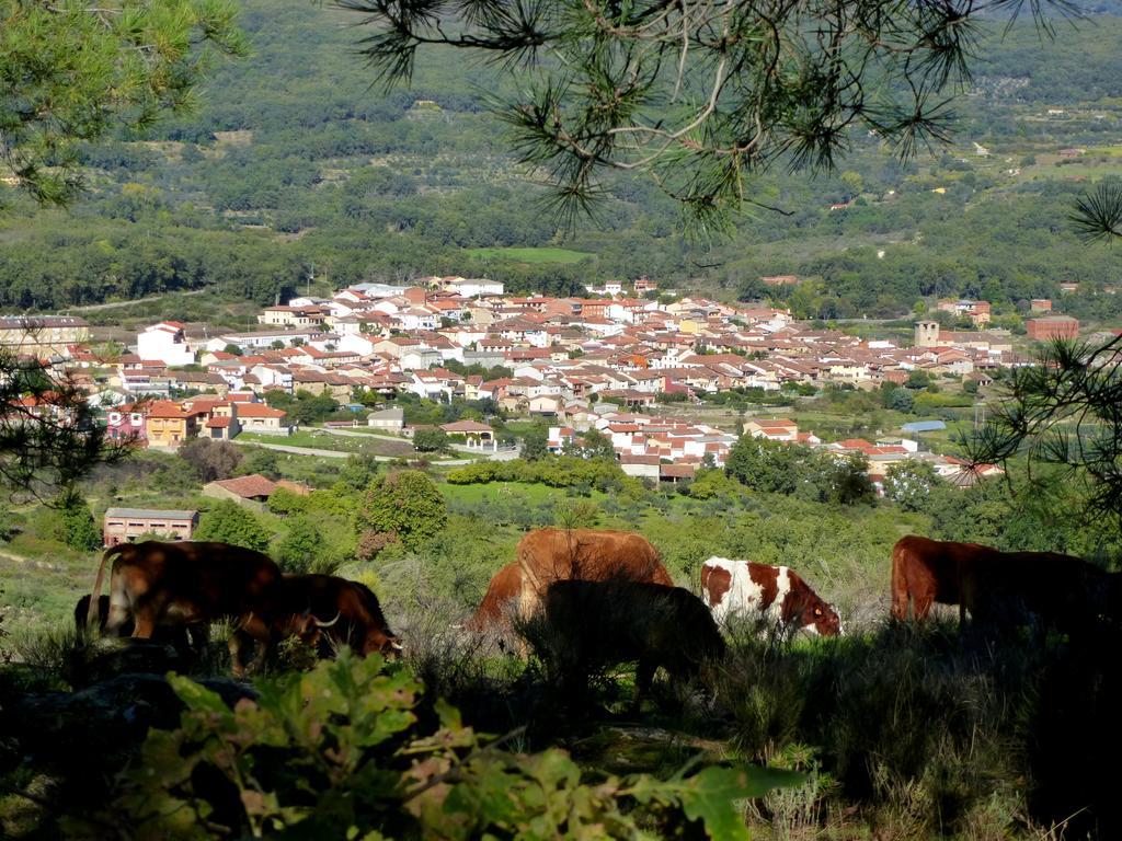 Apartamentos Rurales Entre Fuentes Cuacos De Yuste Esterno foto